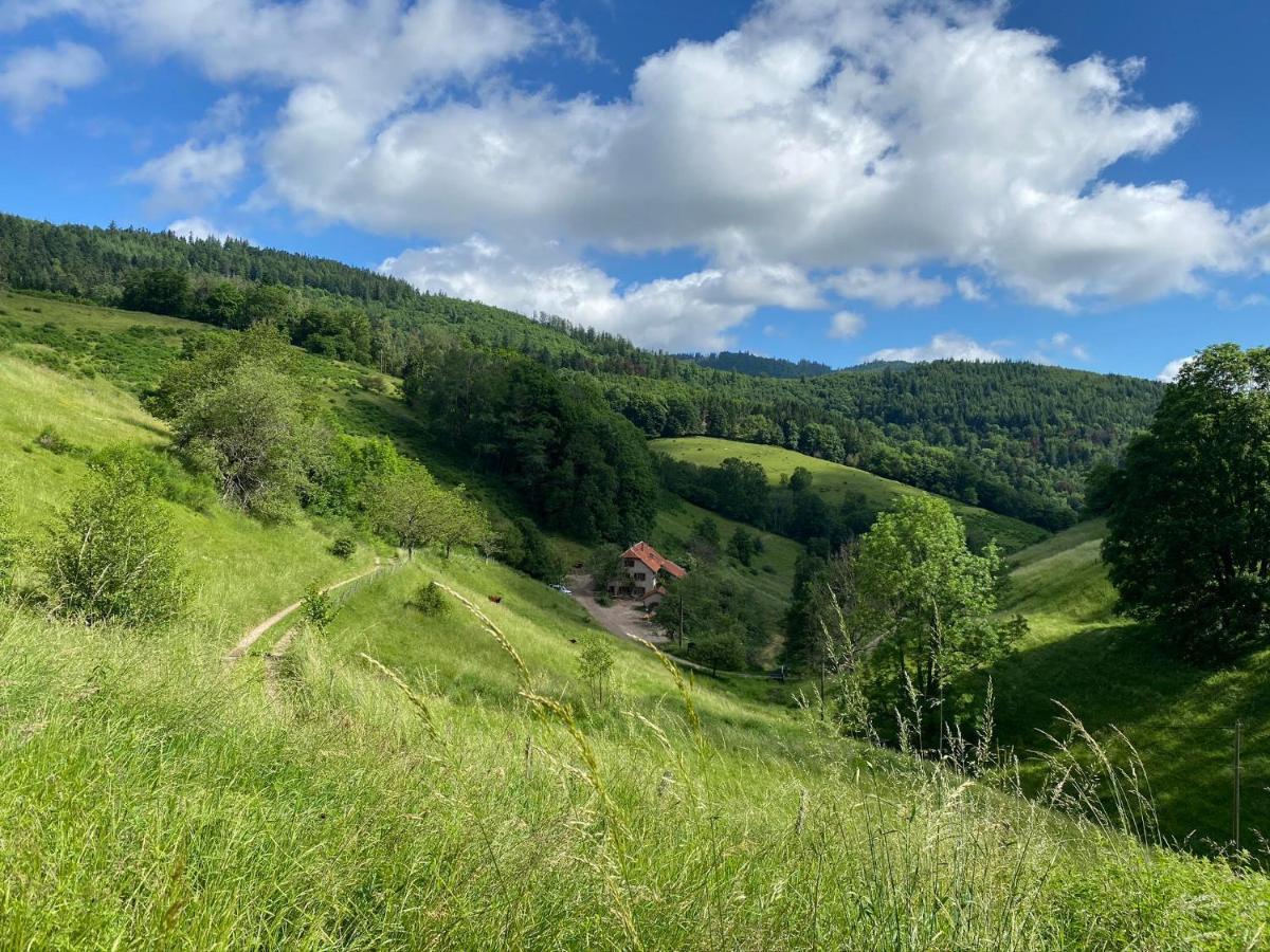 Ferme De La Prairie D Hergauchamps Mit Sauna Und Whirlpool Сент-Марі-о-Мін Екстер'єр фото