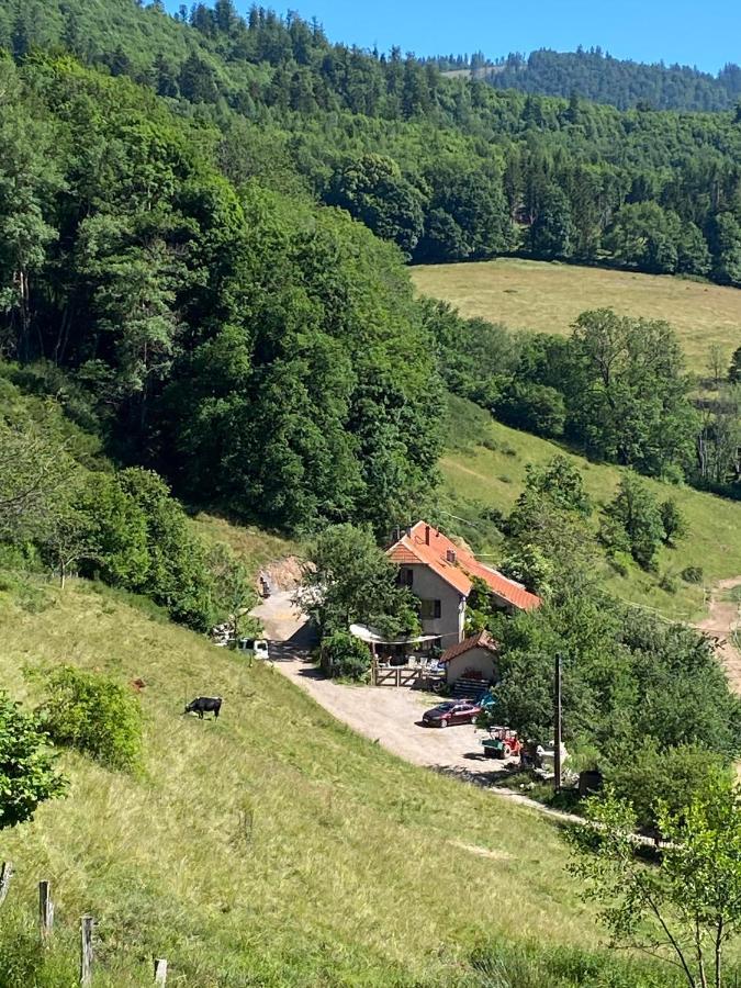 Ferme De La Prairie D Hergauchamps Mit Sauna Und Whirlpool Сент-Марі-о-Мін Екстер'єр фото
